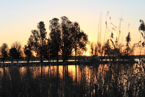 Motel Yarrawonga - Accommodation Sunshine Coast 20