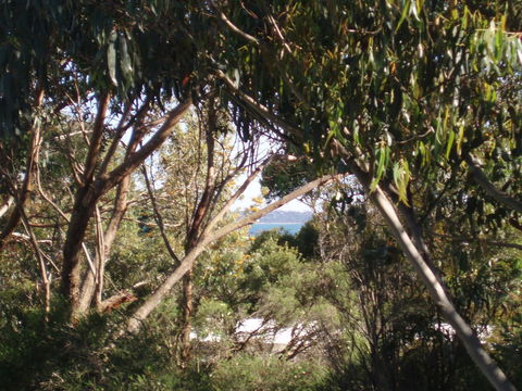 Aloha Ha Phillip Island - Accommodation Sunshine Coast 24