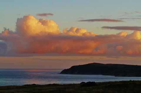 Arcadia Phillip Island - Accommodation Sunshine Coast 19