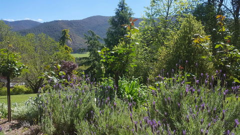 Abbys Cottages Bright - Accommodation Sunshine Coast 33