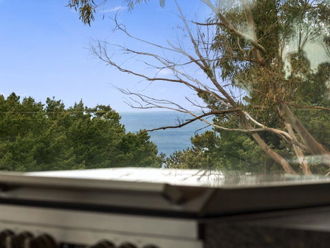 Cypress Hill - Accommodation Sunshine Coast 13