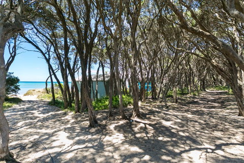 Fairhills - NEW LISTING, Beautifully Styled - Accommodation Sunshine Coast 12