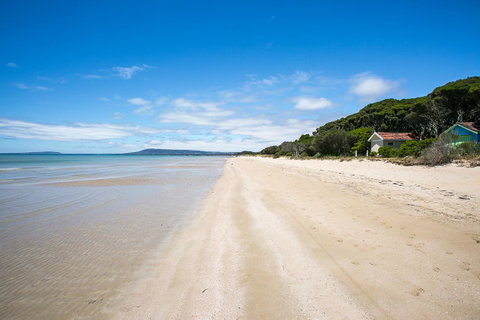 Fairhills - NEW LISTING, Beautifully Styled - Accommodation Sunshine Coast 11