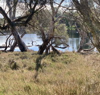 The Lake House - Accommodation Sunshine Coast