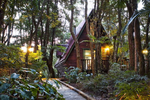The Mouses House Rainforest Retreat - Accommodation Sunshine Coast 1