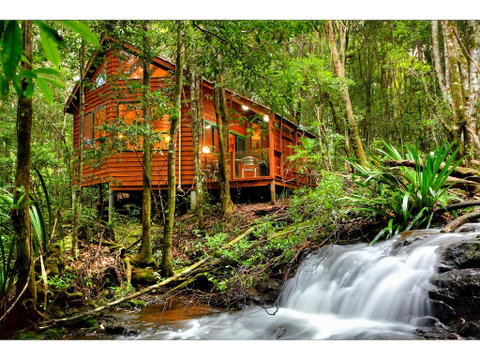 The Mouses House Rainforest Retreat - Accommodation Sunshine Coast 0