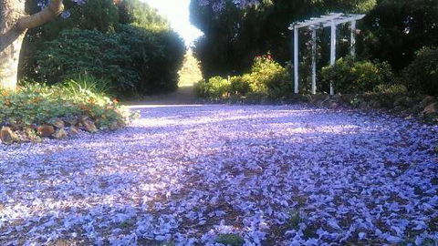 The Old Church Bed And Breakfast - Accommodation Sunshine Coast 2