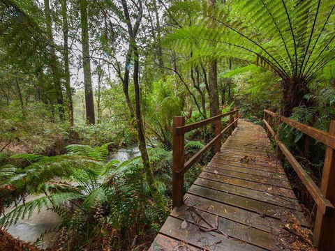 The Source, Otways - Accommodation Sunshine Coast 0