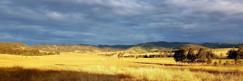 The Wattle Lodge - Accommodation Sunshine Coast 1