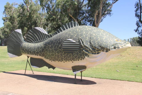 Tocumwal Hotel Motel (The Palms) - Accommodation Sunshine Coast 1