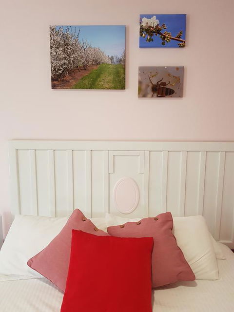 Town House Motor Inn Young - Accommodation Sunshine Coast 1