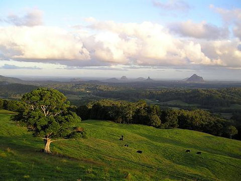 Tranquil Park - Accommodation Sunshine Coast 0