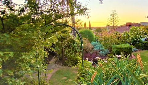 Treetops Escape - Accommodation Sunshine Coast 1