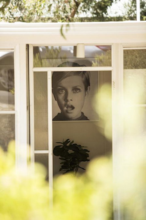 Twiggy @ Anglesea - Accommodation Sunshine Coast 3