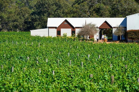 Upper Reach Spa Cottage - Accommodation Sunshine Coast 0