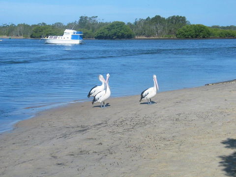 Views To Yaccaba Headland - Accommodation Sunshine Coast 2