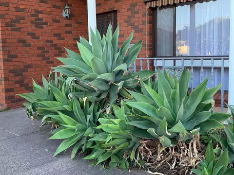 Vintage House In Bentleigh East - Accommodation Sunshine Coast 1