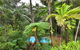 Wait A While Daintree - thumb 3
