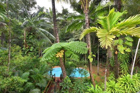 Wait A While Daintree - Accommodation Sunshine Coast 3