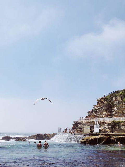 Walk To Beach From This Stylish Bronte Oasis W AC, Wifi And Free Parking - Accommodation Sunshine Coast 3