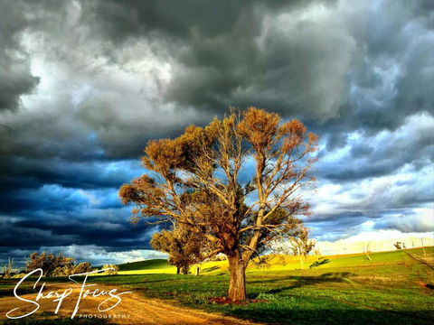 Wantana Cottage Farmstay - Accommodation Sunshine Coast 2