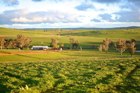 Wantana Cottage Farmstay - Accommodation Sunshine Coast 0