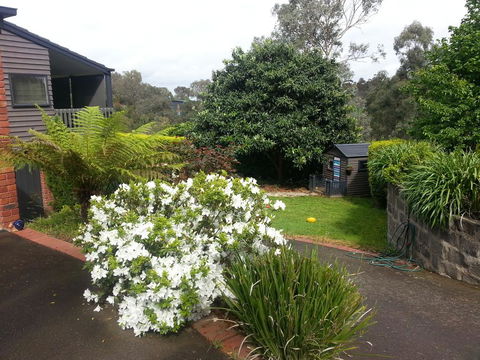Warrandyte Retreat Guest House - Accommodation Sunshine Coast 0