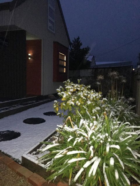 Daydream Cottage - Accommodation Sunshine Coast 17