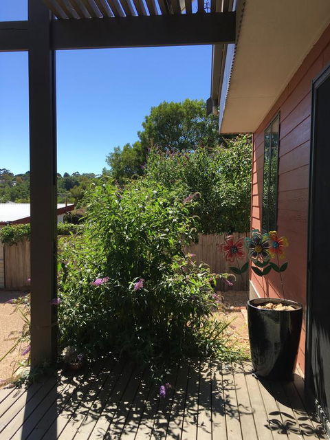 Daydream Cottage - Accommodation Sunshine Coast 10
