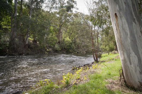 Oscar\'s On The Yarra - Accommodation Sunshine Coast 23