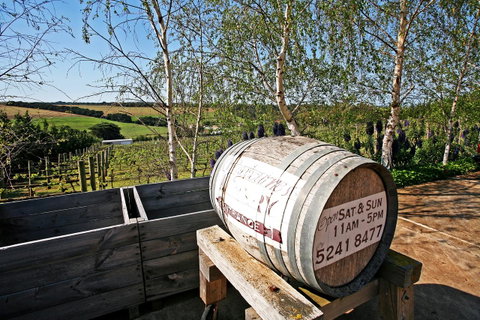 Waybourne- Vineyard And Winery - Accommodation Sunshine Coast 6