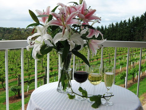 Waybourne- Vineyard And Winery - Accommodation Sunshine Coast 10