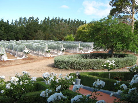 Waybourne- Vineyard And Winery - Accommodation Sunshine Coast 5