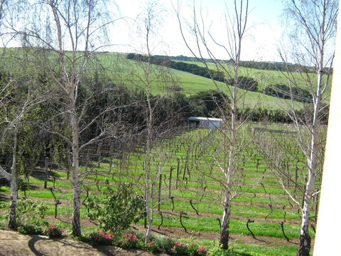Waybourne- Vineyard And Winery - Accommodation Sunshine Coast 2