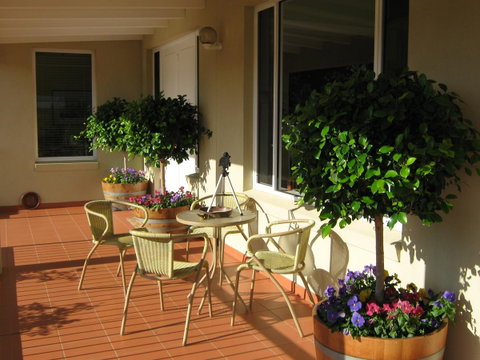 Waybourne- Vineyard And Winery - Accommodation Sunshine Coast 7