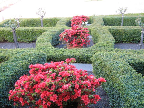 Waybourne- Vineyard And Winery - Accommodation Sunshine Coast 4