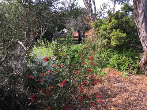 Andrew's On Topaz - Accommodation Sunshine Coast 1