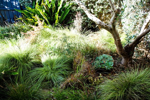 Bed Of Roses - Accommodation Sunshine Coast 21
