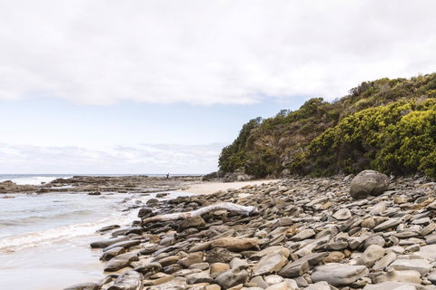 Points South By The Sea - Accommodation Sunshine Coast 9
