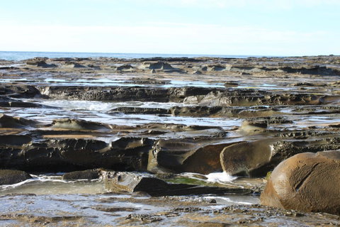 Points South By The Sea - Accommodation Sunshine Coast 38