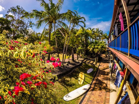 Cool Bananas Backpackers - Accommodation Sunshine Coast 17