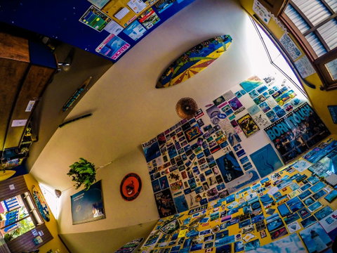 Cool Bananas Backpackers - Accommodation Sunshine Coast 29