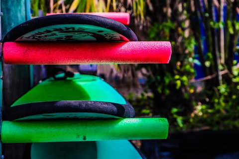 Cool Bananas Backpackers - Accommodation Sunshine Coast 39