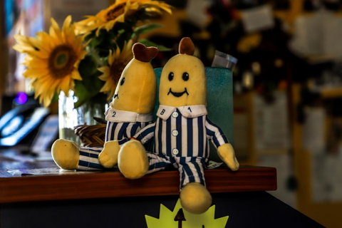Cool Bananas Backpackers - Accommodation Sunshine Coast 30
