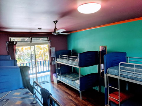 Cool Bananas Backpackers - Accommodation Sunshine Coast 5
