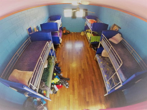 Cool Bananas Backpackers - Accommodation Sunshine Coast 36