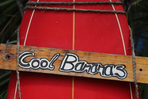 Cool Bananas Backpackers - Accommodation Sunshine Coast 41