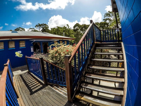 Cool Bananas Backpackers - Accommodation Sunshine Coast 27