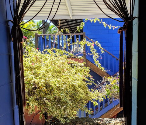 Cool Bananas Backpackers - Accommodation Sunshine Coast 10