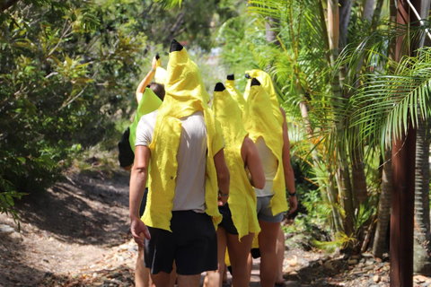 Cool Bananas Backpackers - Accommodation Sunshine Coast 19